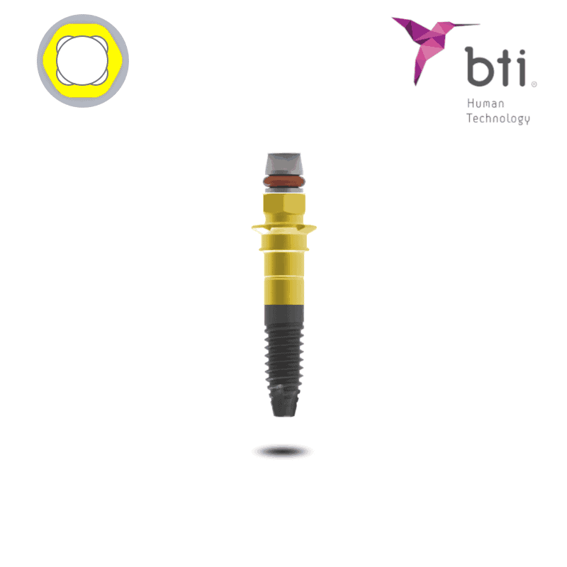 BTI Interna Standard Plus Implantat